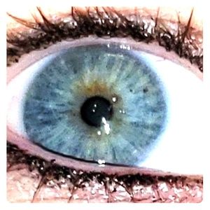 Meet your Posher, Jill